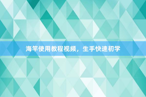 海竿使用教程视频，生手快速初学